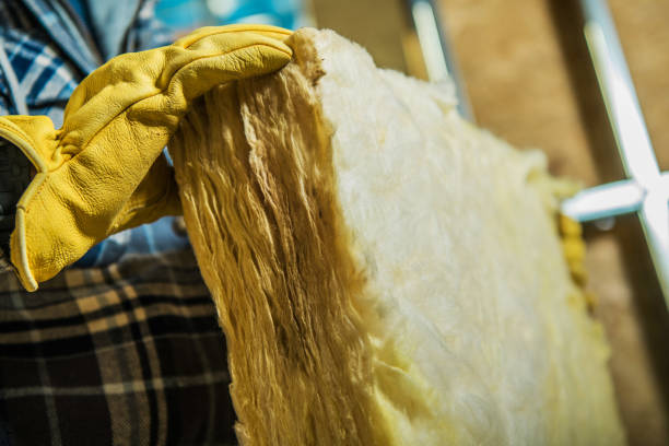 Best Specialty Insulation in Eastern Goleta Valley, CA