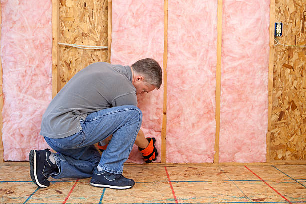 Best Insulation for Specific Applications in Eastern Goleta Valley, CA